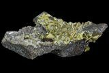 Sandwich Wulfenite Crystal Cluster - Ojuela Mine, Mexico #103469-2